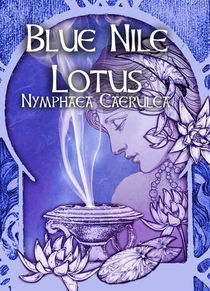 Blue Nile Lotus - Nymphaea Caerulea  - 1 oz