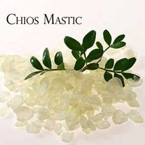 Chios Mastic (Chewable Grade Mastiha) .5 oz