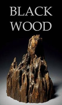 Black Wood - Fine Agarwood and Oud Melange