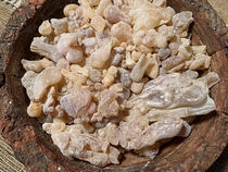 Carterii (Beyo) Frankincense - 2 oz. fine grade - Somalia