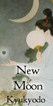 " New Moon”  (Seigetsu), - Aloeswood Blend from Kyukyodo