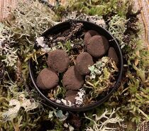 Zen Monastery Moss Garden - Esprit de la Nature