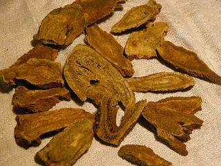 Costus Root  -  1 oz Premium Aromatic / Medicinal Grade